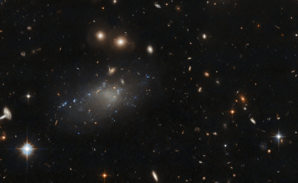 Ultra-Diffuse Galaxies of Hydra Cluster